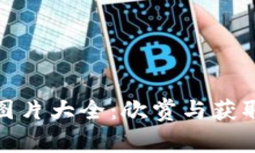 冷钱包爸爸绘画图片大全：欣赏与获取灵感的艺术之旅