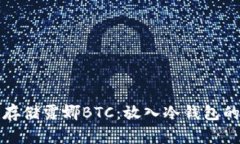 如何安全存储露娜BTC：放入冷钱包的最佳实践