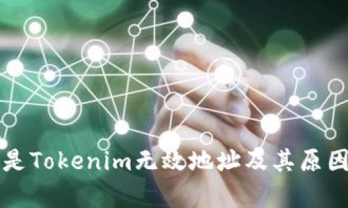 什么是Tokenim无效地址及其原因分析
