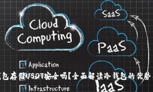 : 冷钱包存储USDT安全吗？全面解读冷钱包的优势与风险