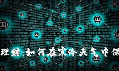 冬季保暖与理财：如何在寒冷天气中保持钱包温暖