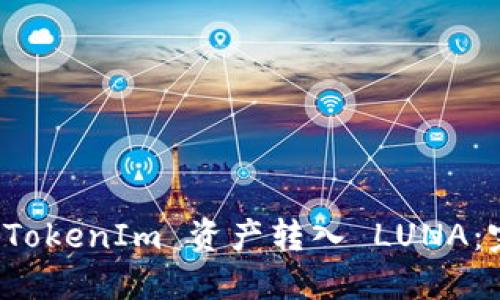 如何将 TokenIm 资产转入 LUNA：完整指南