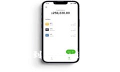 如何将LUNA资产成功提现到Tokenim？详细攻略和常见