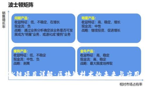 OK链项目详解：区块链技术的未来与应用