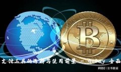 国内支付工具的选择与使用前景 - GoPay 全面解析