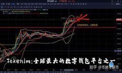 Tokenim：全球最大的数字钱包平台之一