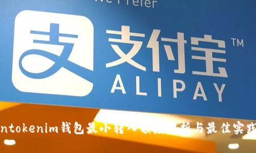Tokentokenim钱包最小转入额度解析与最佳实践指南