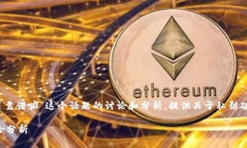 注意：以下是对“私钥碰撞器项目靠谱嘛”这个话题的讨论和分析，提供关于私钥碰撞器以及相关技术的深入见解。

私钥碰撞器项目的可信性与风险分析