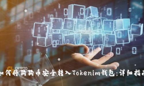 如何将狗狗币安全转入Tokenim钱包：详细指南