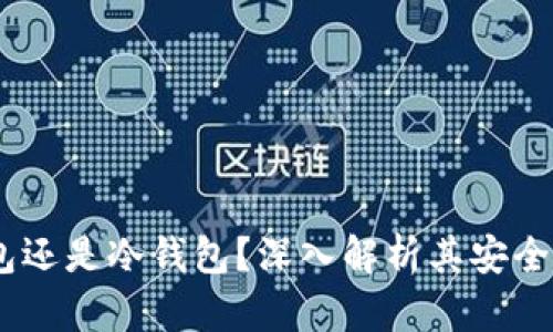 To钱包：热钱包还是冷钱包？深入解析其安全性与使用场景