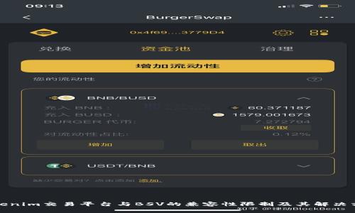 Tokenim交易平台与BSV的兼容性限制及其解决方案