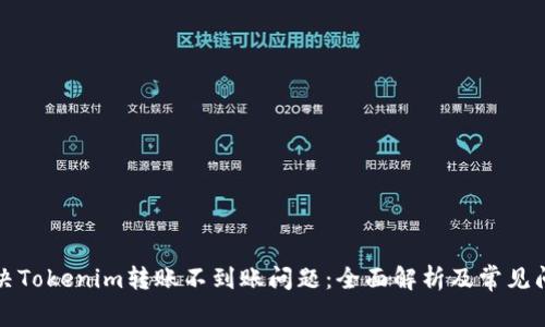 如何解决Tokenim转账不到账问题：全面解析及常见问题解答