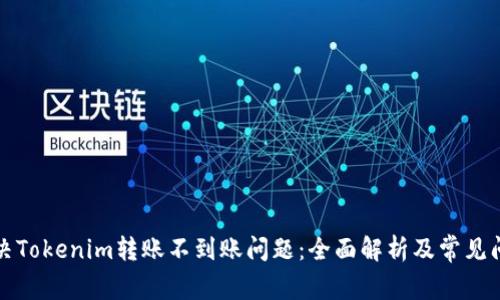 如何解决Tokenim转账不到账问题：全面解析及常见问题解答