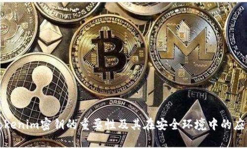 Tokenim密钥的重要性及其在安全环境中的应用