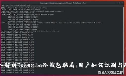 深入解析Tokenim冷钱包骗局：用户如何识别与防范