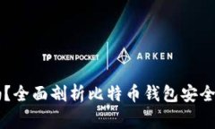 BitPay钱包安全吗？全面剖析比特币钱包安全性及