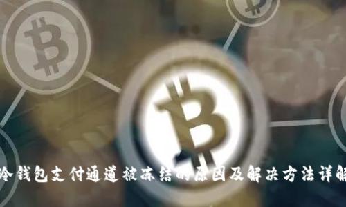 冷钱包支付通道被冻结的原因及解决方法详解