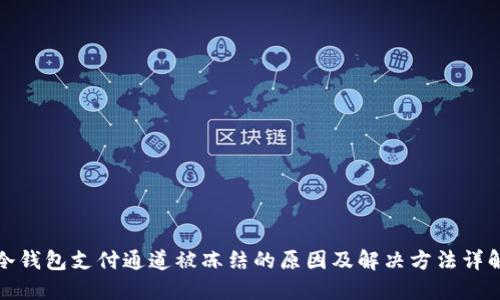 冷钱包支付通道被冻结的原因及解决方法详解