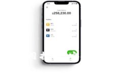 Coinomi冷钱包使用指南：安全存储与多币种支持