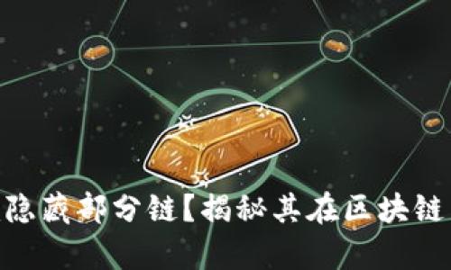 什么是Tokenim隐藏部分链？揭秘其在区块链中的应用与前景