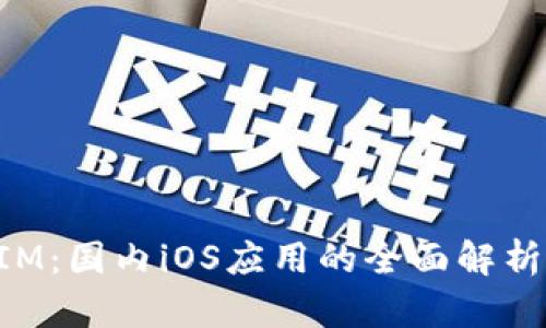 探讨TokenIM：国内iOS应用的全面解析与用户指南