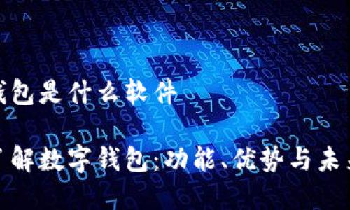 数字钱包是什么软件

深入了解数字钱包：功能、优势与未来发展