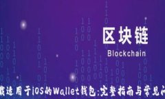 如何下载适用于iOS的Wallet钱包：完整指南与常见