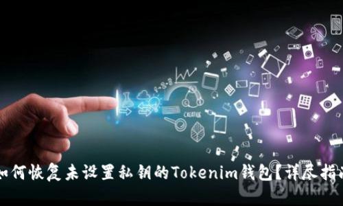 如何恢复未设置私钥的Tokenim钱包？详尽指南