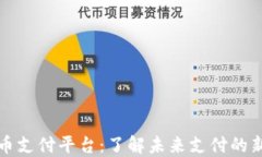 虚拟币支付平台：了解未来支付的新趋势