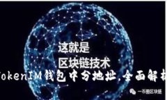 如何在TokenTokenIM钱包中分地址，全面解析其用法