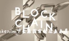 Tokenim下架原因分析及未来展望