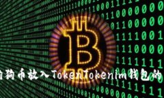 如何将狗狗币放入TokenTokenim钱包的详细指南