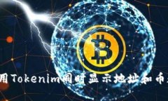 如何用Tokenim同时显示地址和币数量？