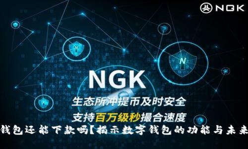 数字钱包还能下款吗？揭示数字钱包的功能与未来趋势