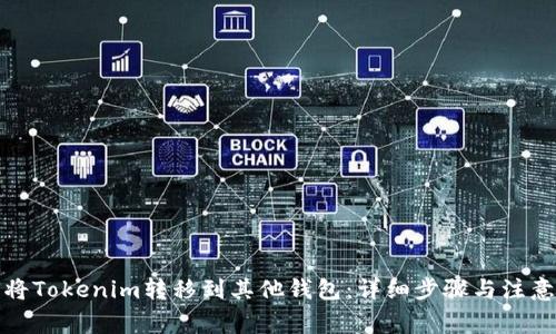 如何将Tokenim转移到其他钱包：详细步骤与注意事项
