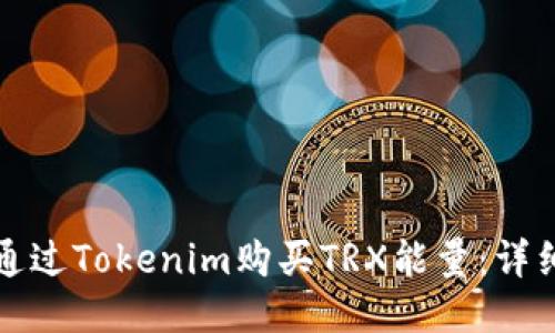 如何通过Tokenim购买TRX能量：详细教程