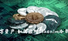 保护你的数字资产：如何应对Tokenim冷钱包盗窃事