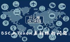 如何解决BSC上Token未到账的问题：详细指南