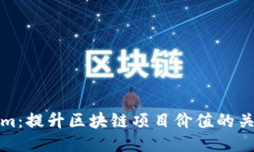 Tokenim：提升区块链项目价值的关键工具