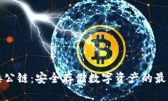 冷钱包对接公链：安全存储数字资产的最佳解决