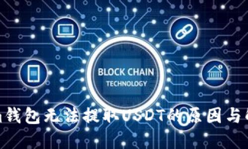 tokenim钱包无法提取USDT的原因与解决方案