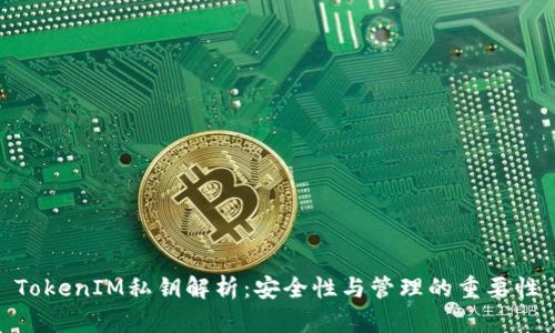 TokenIM私钥解析：安全性与管理的重要性