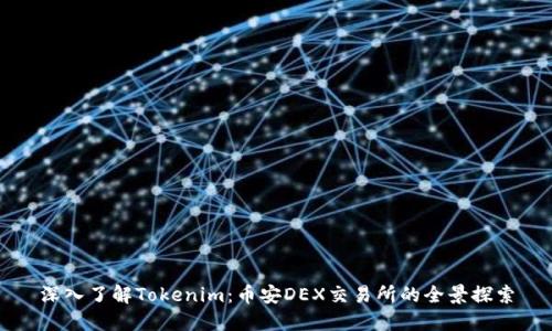 深入了解Tokenim：币安DEX交易所的全景探索