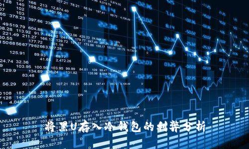 将黑U存入冷钱包的利弊分析