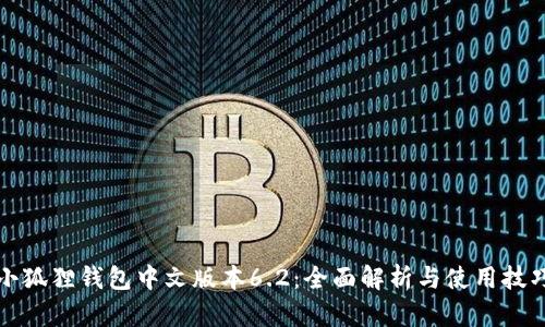 小狐狸钱包中文版本6.2：全面解析与使用技巧