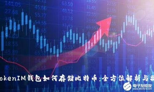 TokenTokenIM钱包如何存储比特币：全方位解析与操作指南
