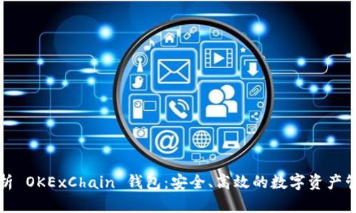 全面解析 OKExChain 钱包：安全、高效的数字资产管理工具
