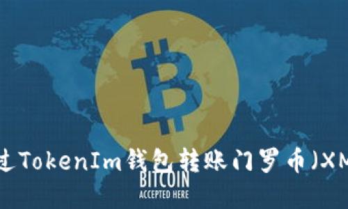如何通过TokenIm钱包转账门罗币（XMR）详解