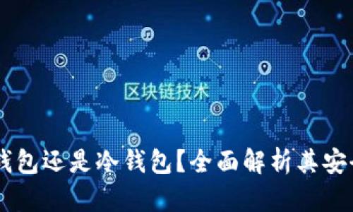 MetaMask：热钱包还是冷钱包？全面解析其安全性与使用场景