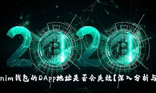 Tokenim钱包的DApp地址是否会失效？深入分析与解答